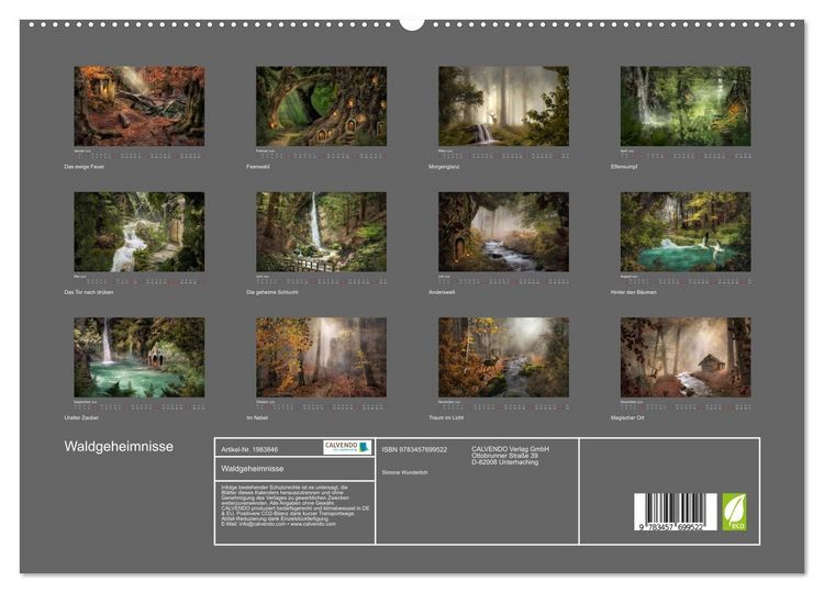 Produktbild: Waldgeheimnisse (hochwertiger Premium Wandkalender 2026 DIN A2 quer), Kunstdruck in Hochglanz