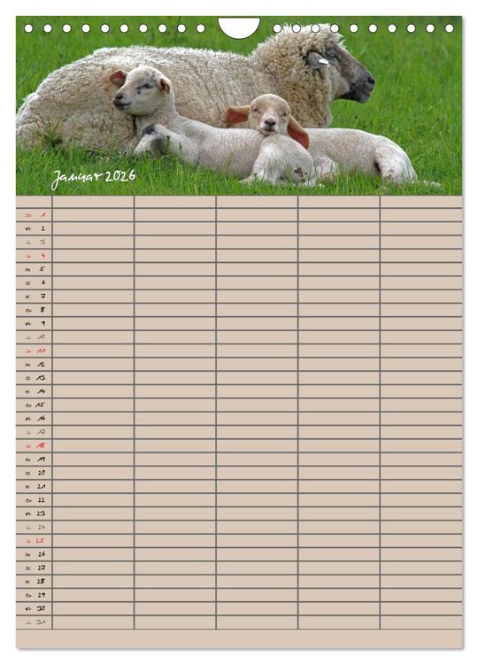 Produktbild: Der bel&auml;mmerte Familienplaner (Wandkalender 2026 DIN A4 hoch), CALVENDO Monatskalender