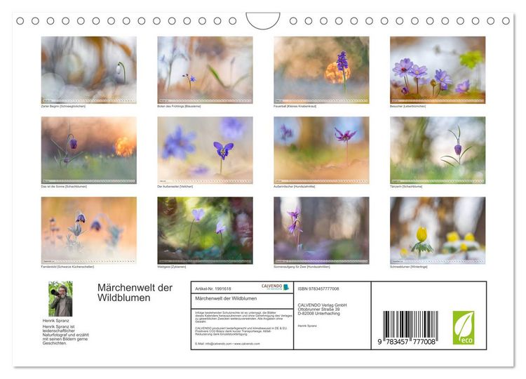 Produktbild: M&auml;rchenwelt der Wildblumen (Wandkalender 2026 DIN A4 quer), CALVENDO Monatskalender