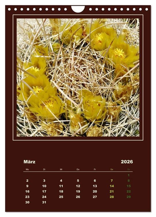 Produktbild: Wilde Kakteen Amerikas (Wandkalender 2026 DIN A4 hoch), CALVENDO Monatskalender