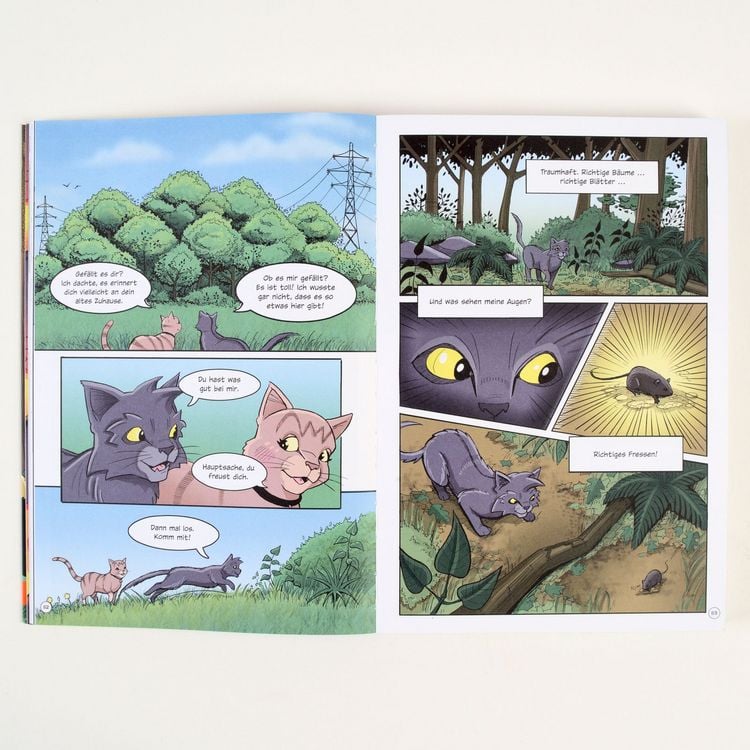 Produktbild: Warrior Cats - Graustreifs Weg zur&uuml;ck