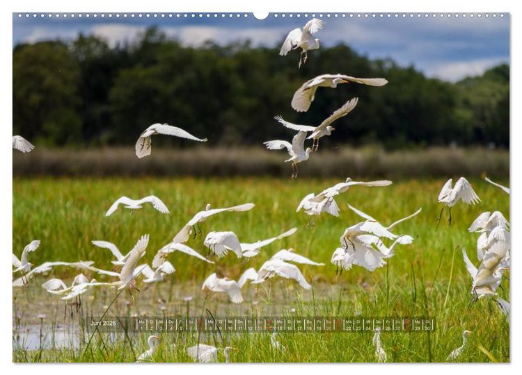 Produktbild: Abenteuer Botswana Afrika - Adventure Botswana (hochwertiger Premium Wandkalender 2026 DIN A2 quer), Kunstdruck in Hochglanz