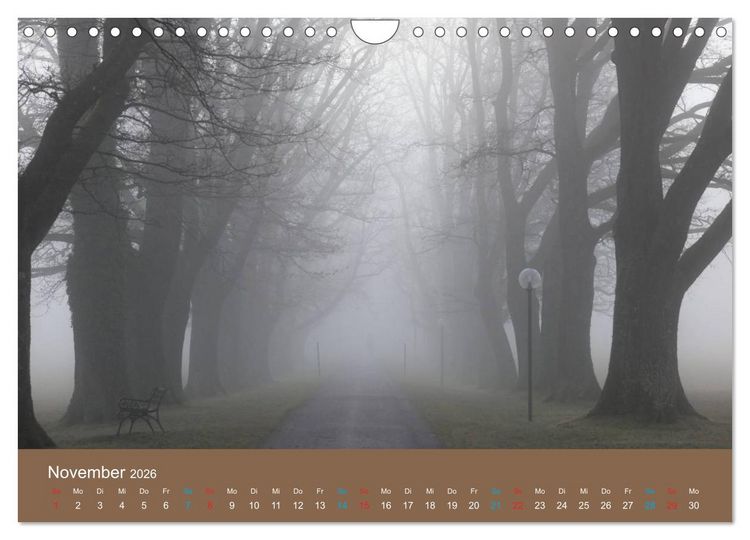 Produktbild: Fasziantion Natur (Wandkalender 2026 DIN A4 quer), CALVENDO Monatskalender