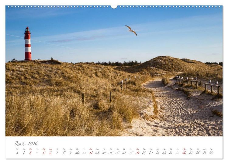 Produktbild: Amrum - Eine farbenfrohe Insellandschaft (Wandkalender 2026 DIN A2 quer), CALVENDO Monatskalender