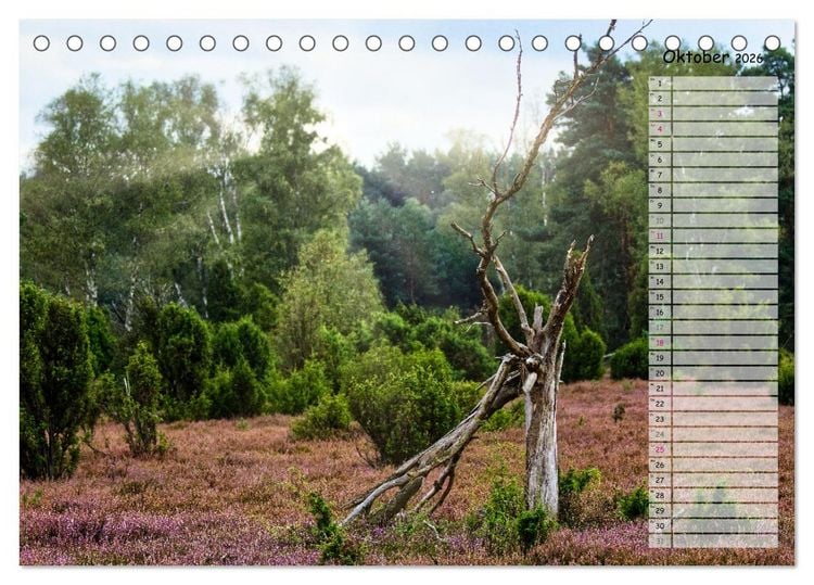 Produktbild: Heidespaziergang (Tischkalender 2026 DIN A5 quer), CALVENDO Monatskalender