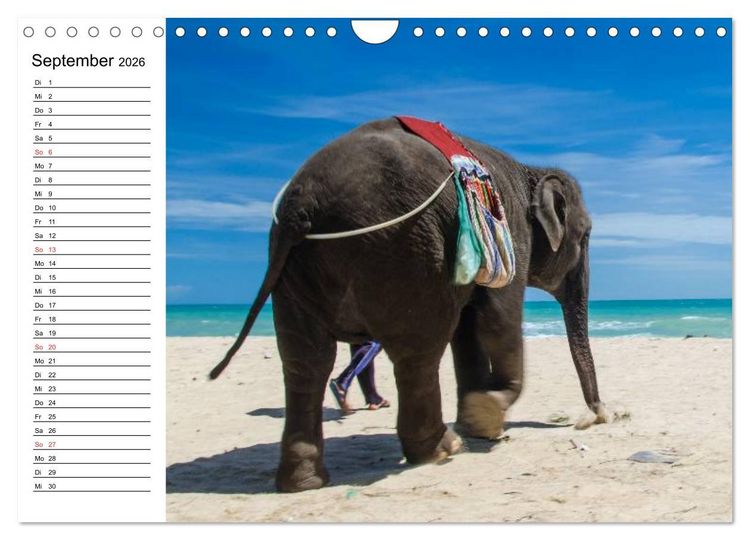 Produktbild: Elefanten - Wasserspa&szlig; am Strand (Wandkalender 2026 DIN A4 quer), CALVENDO Monatskalender