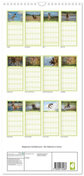 Produktbild: Familienplaner 2027 - Belgischer Sch&auml;ferhund - Der Malinois in Action mit 5 Spalten (Wandkalender, 21 x 45 cm) CALVENDO