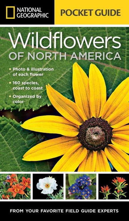 Produktbild: National Geographic Pocket Guide to Wildflowers of North America