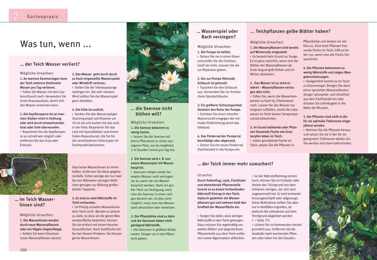 Produktbild: Gartenteiche anlegen und gestalten
