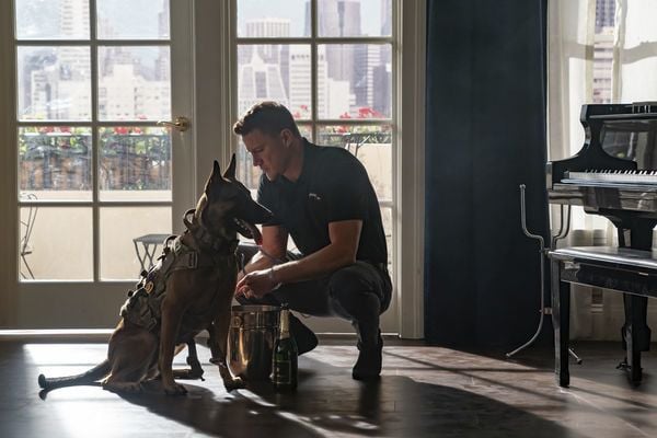 Produktbild: Dog - Das Gl&uuml;ck hat vier Pfoten