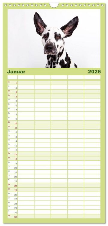 Produktbild: Familienplaner 2026 - SCHLAPPOHREN mit 5 Spalten (Wandkalender, 21 x 45 cm) CALVENDO