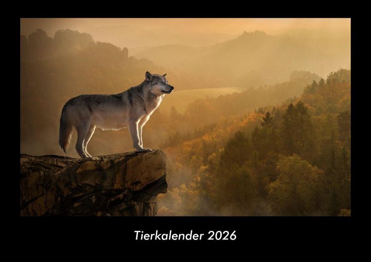 Produktbild: Tierkalender 2026 Fotokalender DIN A3