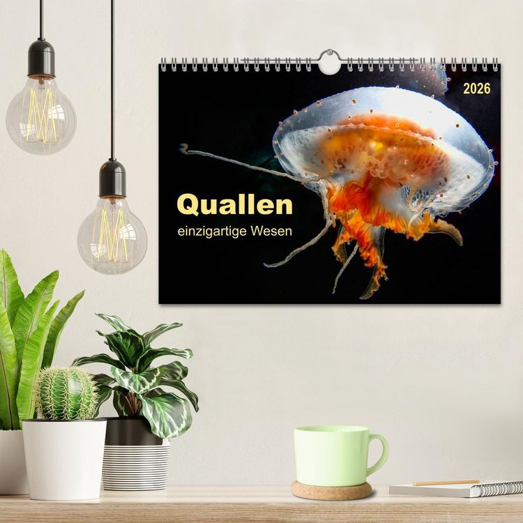 Produktbild: Quallen - einzigartige Wesen (Wandkalender 2026 DIN A4 quer), CALVENDO Monatskalender