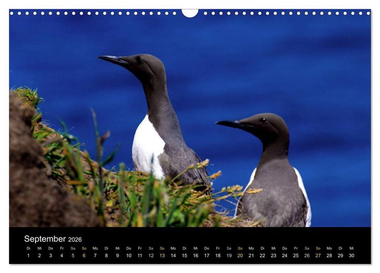 Produktbild: Wales Pembrokeshire - Natur im Fokus- (Wandkalender 2026 DIN A3 quer), CALVENDO Monatskalender