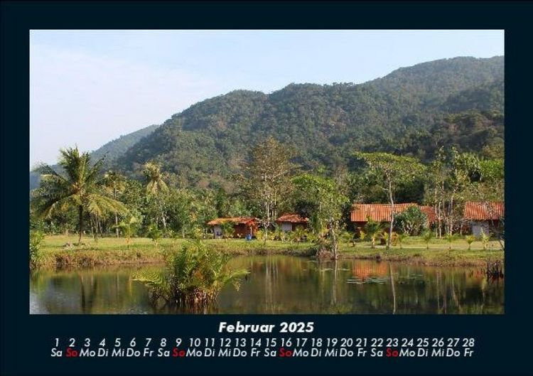 Produktbild: Pflanzen und Bl&uuml;ten 2025 Fotokalender DIN A5