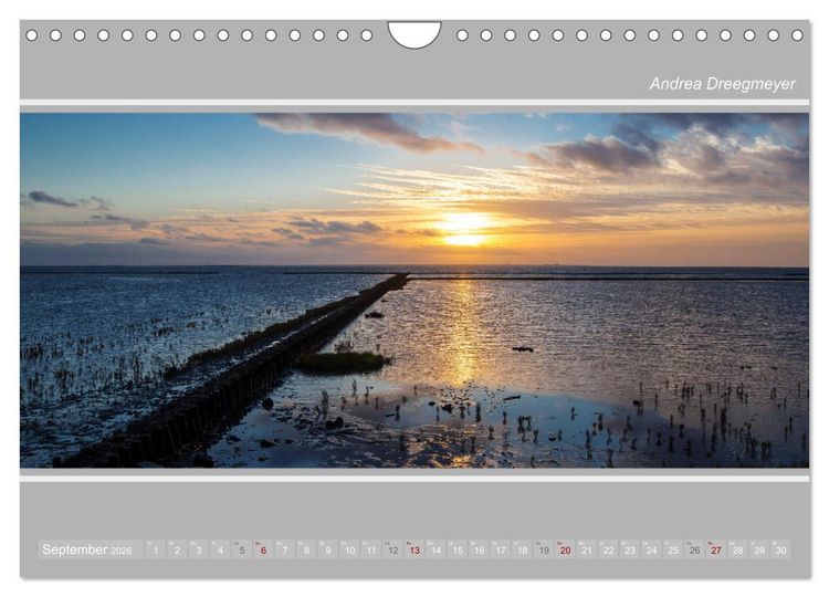 Produktbild: Krummh&ouml;rn im Panorama-Format (Wandkalender 2026 DIN A4 quer), CALVENDO Monatskalender