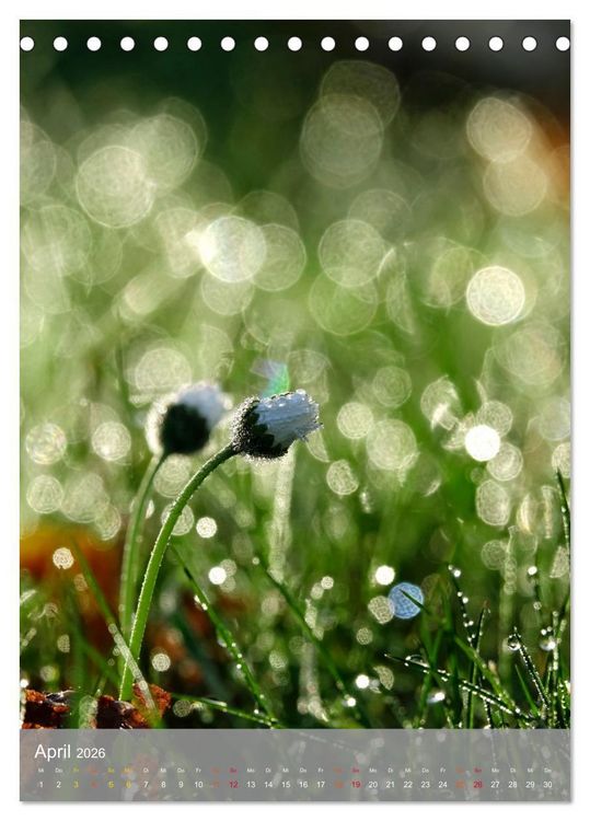 Produktbild: Mit Bokeh-Fotografie durch das Jahr (Tischkalender 2026 DIN A5 hoch), CALVENDO Monatskalender