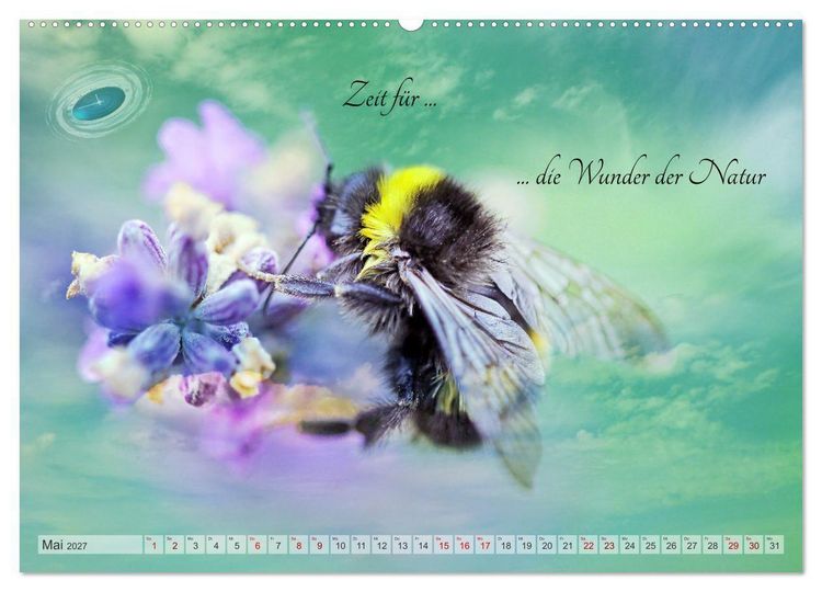 Produktbild: Alles hat seine Zeit - Mach Deine kleine Welt perfekt (hochwertiger Premium Wandkalender 2027 DIN A2 quer), Kunstdruck in Hochglanz