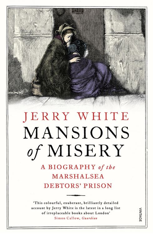 Produktbild: Mansions of Misery