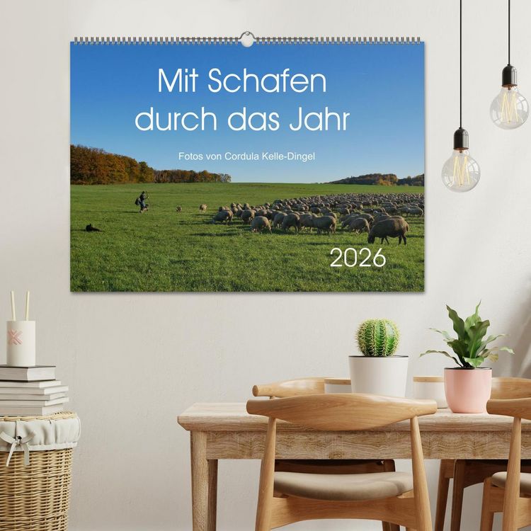Produktbild: Mit Schafen durch das Jahr (Wandkalender 2026 DIN A2 quer), CALVENDO Monatskalender