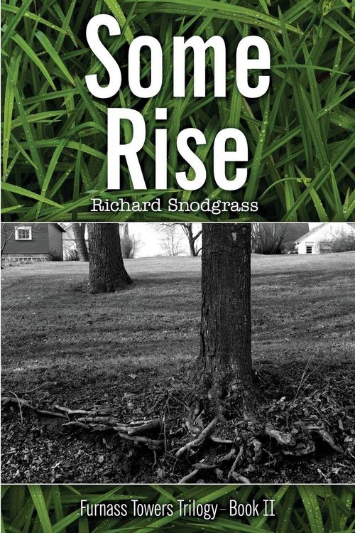 Produktbild: Some Rise