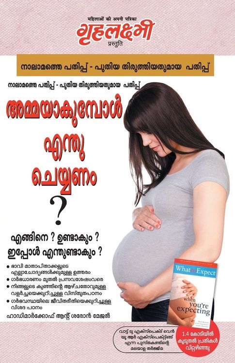 Produktbild: What To Expect When You are Expecting in Malayalam The Best Pregenancy Book By - Heidi Murkoff & Sharon Mazel