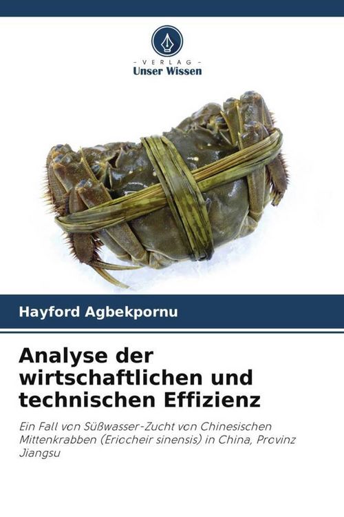 Produktbild: Analyse der wirtschaftlichen und technischen Effizienz