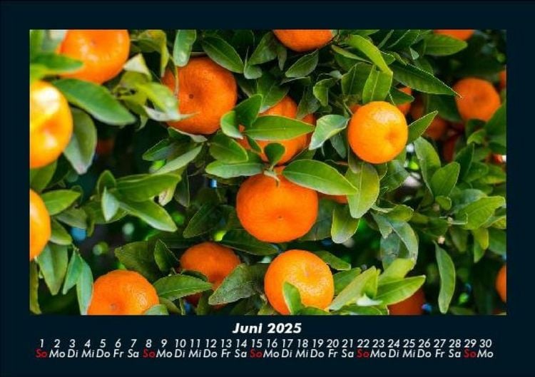 Produktbild: Obstkalender 2025 Fotokalender DIN A5