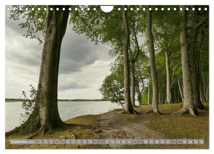 Produktbild: Am sch&ouml;nsten Uferabschnitt der Schlei (Wandkalender 2027 DIN A4 quer), CALVENDO Monatskalender