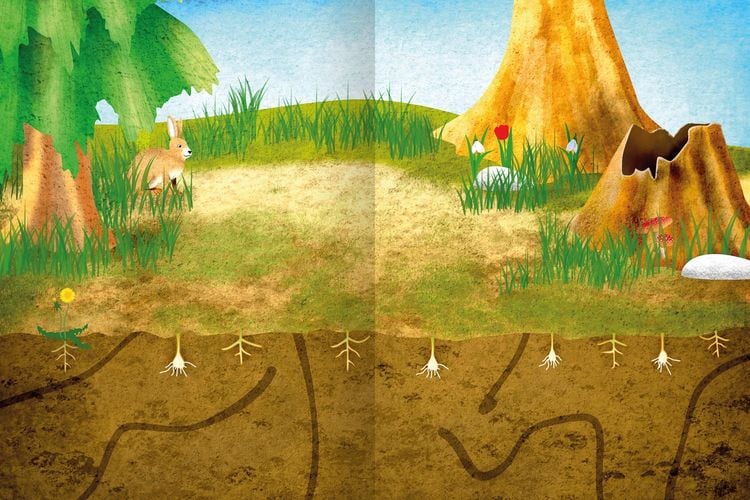 Produktbild: Erstes Stickern &ndash; Im Fr&uuml;hling