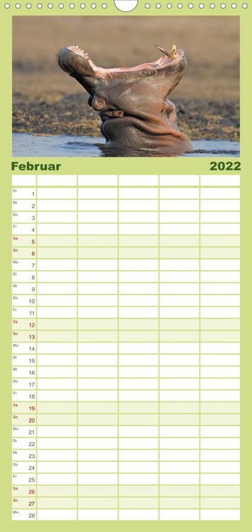 Produktbild: Flusspferde Magie des Augenblicks - Hippos in Afrika - Familienplaner hoch (Wandkalender 2022 , 21 cm x 45 cm, hoch)