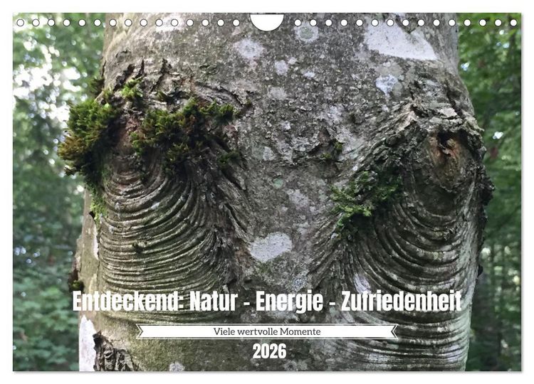 Produktbild: Entdeckend: Natur - Energie - Zufriedenheit (Wandkalender 2026 DIN A4 quer), CALVENDO Monatskalender