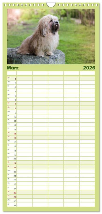 Produktbild: Familienplaner 2026 - Havaneser - Wirbelwinde aus Kuba mit 5 Spalten (Wandkalender, 21 x 45 cm) CALVENDO