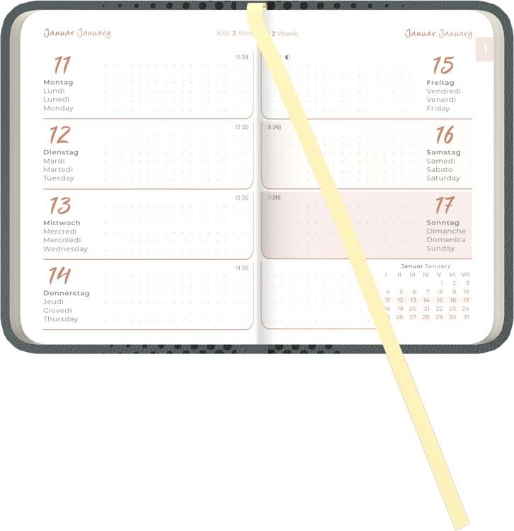 Produktbild: Lady Journal Mini Deluxe Anthrazit 2027