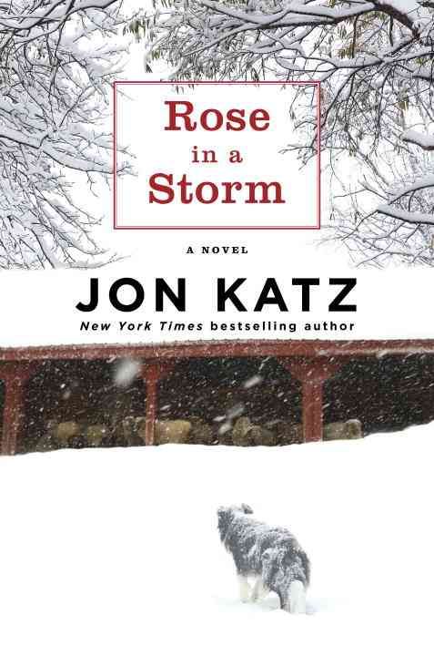 Produktbild: Rose in a Storm