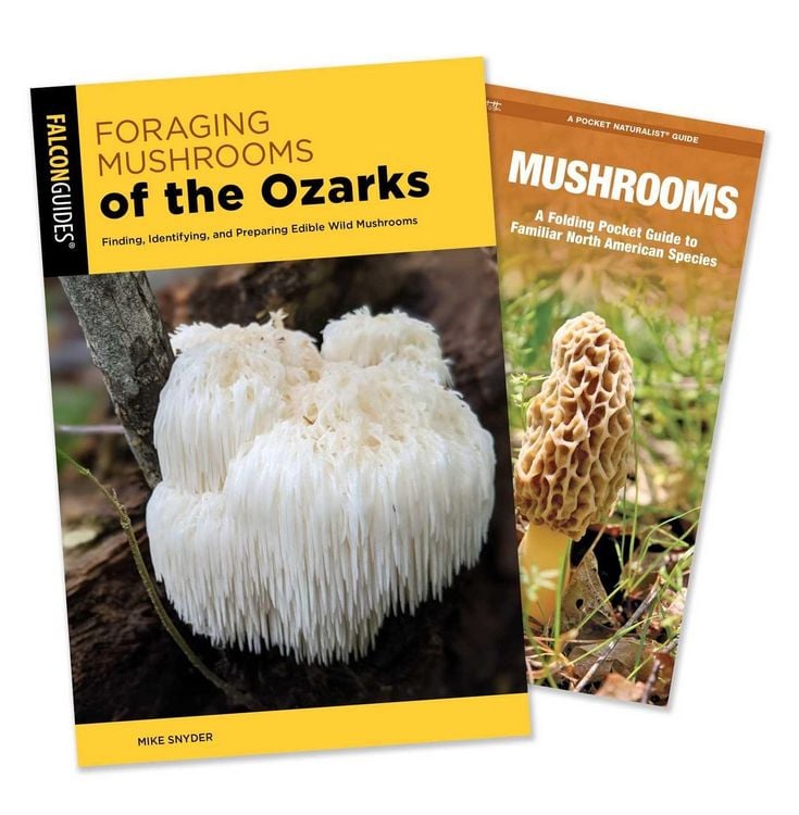 Produktbild: Foraging Mushrooms of the Ozarks Guidebook and Folding Pocket Guide Bundle