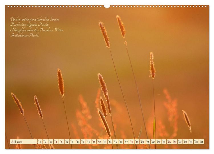 Produktbild: Sommergr&auml;ser (hochwertiger Premium Wandkalender 2026 DIN A2 quer), Kunstdruck in Hochglanz