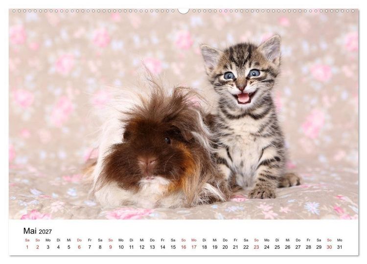 Produktbild: lach mit...just smile (hochwertiger Premium Wandkalender 2027 DIN A2 quer), Kunstdruck in Hochglanz