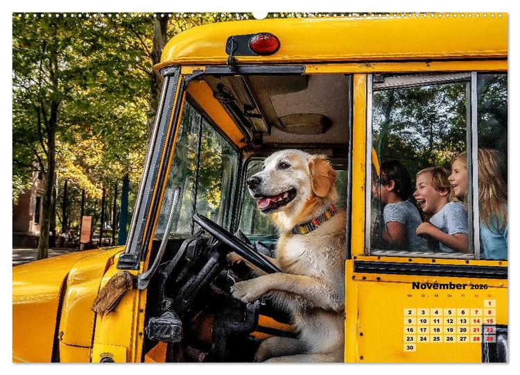 Produktbild: S&uuml;&szlig;e Hunde cruisen - durch das Jahr mit dem Hundekalender (hochwertiger Premium Wandkalender 2026 DIN A2 quer), Kunstdruck in Hochglanz