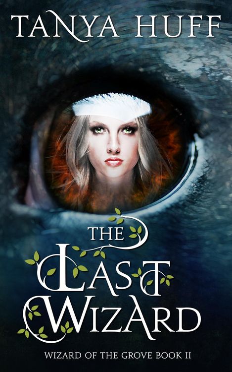 Produktbild: Last Wizard