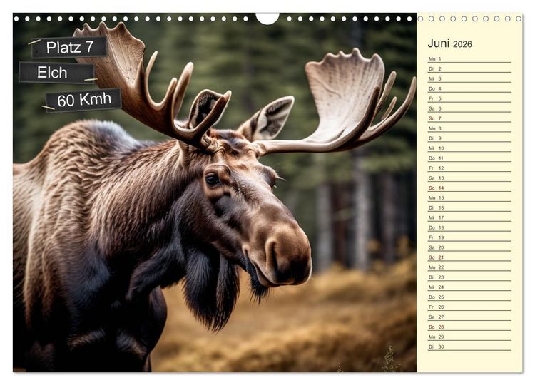 Produktbild: Wer rennt am schnellsten? (Wandkalender 2026 DIN A3 quer), CALVENDO Monatskalender