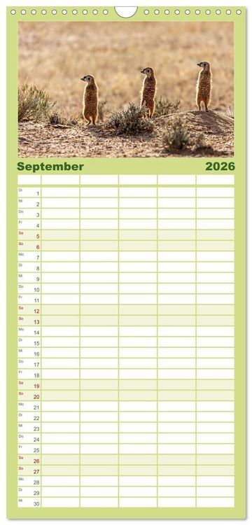 Produktbild: Familienplaner 2026 - Afrikas Tierwelt - Erdm&auml;nnchen mit 5 Spalten (Wandkalender, 21 x 45 cm) CALVENDO