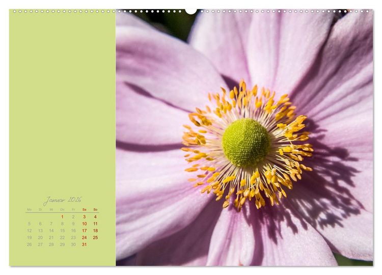 Produktbild: Bl&uuml;tenstil (hochwertiger Premium Wandkalender 2026 DIN A2 quer), Kunstdruck in Hochglanz