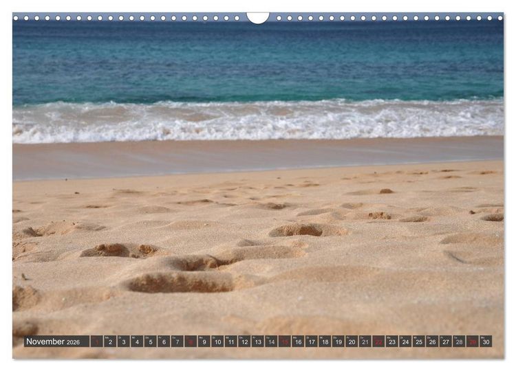 Produktbild: Ich will Meer ! (Wandkalender 2026 DIN A3 quer), CALVENDO Monatskalender