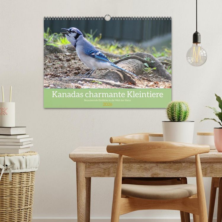 Produktbild: Kanadas charmante Kleintiere - Bezaubernde Einblicke in die Natur (Wandkalender 2026 DIN A3 quer), CALVENDO Monatskalender