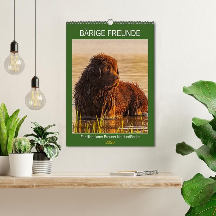 Produktbild: B&auml;rige Freunde - Familienplaner Brauner Neufundl&auml;nder (Wandkalender 2026 DIN A3 hoch), CALVENDO Monatskalender