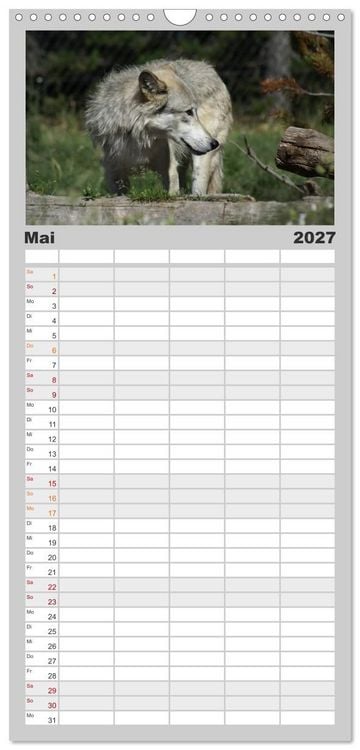 Produktbild: Familienplaner 2027 - W&ouml;lfe. Graue Eminenzen mit 5 Spalten (Wandkalender, 21 x 45 cm) CALVENDO