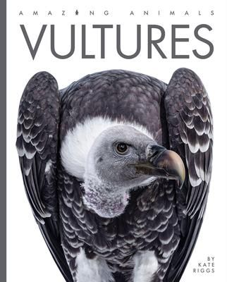 Produktbild: Vultures