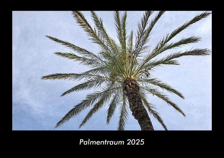 Produktbild: Palmentraum 2025 Fotokalender DIN A3