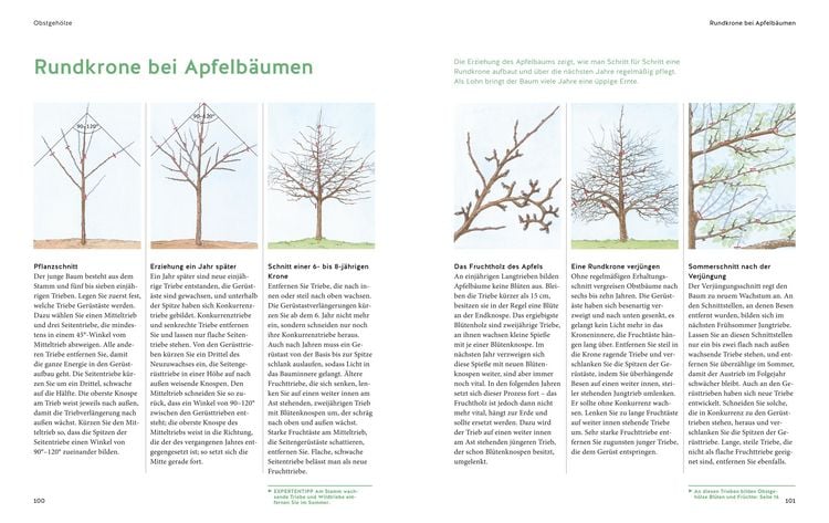 Produktbild: Pflanzenschnitt